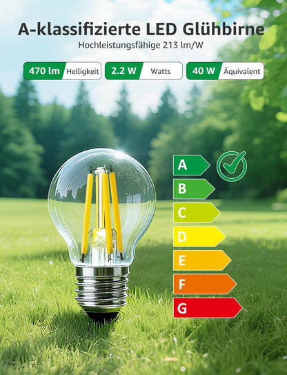 Lepro Energieklasse A E27 LED Warmweiss, 2.2W 470 Lumen Glühbirne E27, Nicht Dimmbar, G45 Led Birne, 2700 Kelvin Warmweiß, 300° Abstrahlwinkel Energiesparlampe, ersetzt 40W Leuchtmittel, 4 Stück
