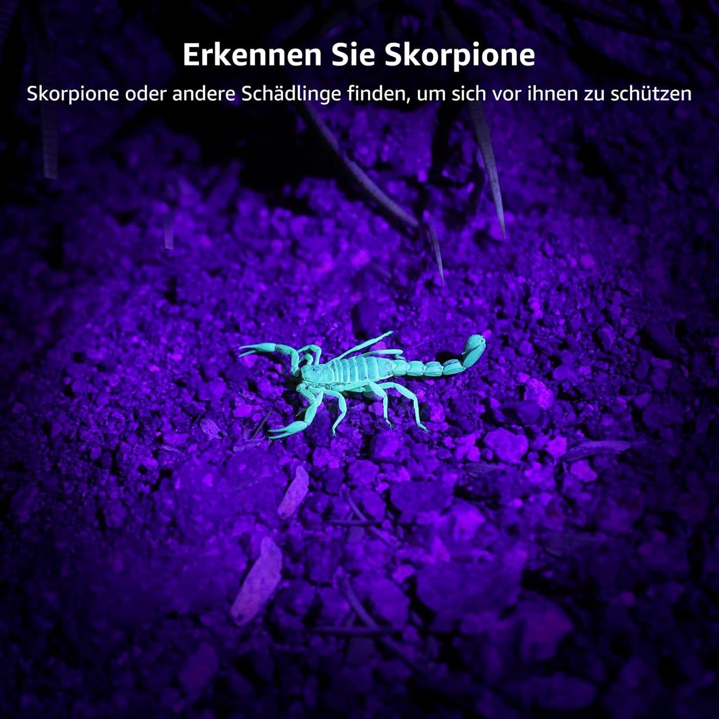 LE LED UV Schwarzlicht Taschenlampe mit 9 LEDs, mini UV Lampe Ultraviolettes Licht mit 395nm für Geocaching, Heimtierurindetektoren, Haustiere Urin-Detektor usw. Inklusive 3 AAA Batterien