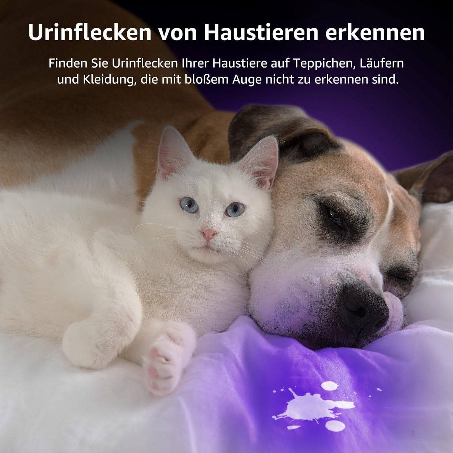 LE LED UV Schwarzlicht Taschenlampe mit 9 LEDs, mini UV Lampe Ultraviolettes Licht mit 395nm für Geocaching, Heimtierurindetektoren, Haustiere Urin-Detektor usw. Inklusive 3 AAA Batterien